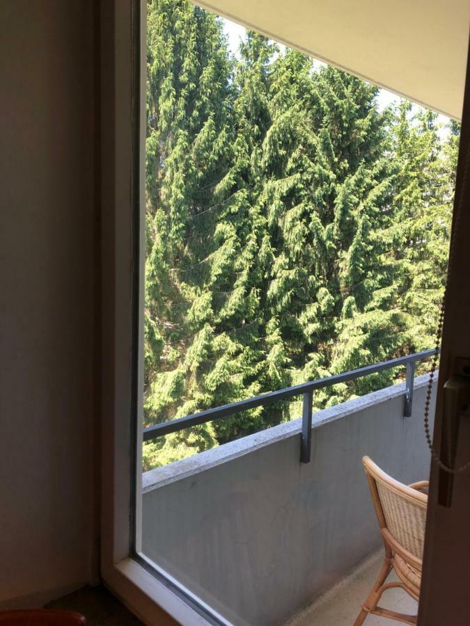 Relax 1 Apartman Goslar Kültér fotó